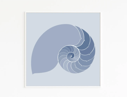 NAUTILUS