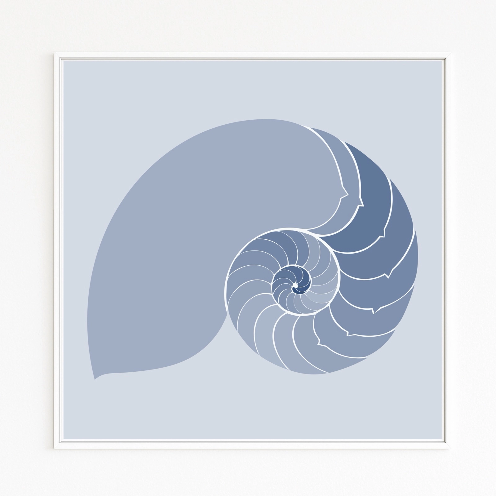 233-snail-nautilus-spiral-artwork-fine-art-paper-content-small
