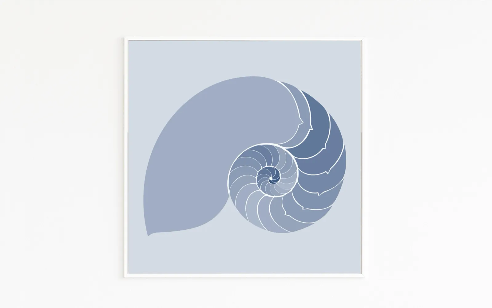 233-snail-nautilus-spiral-artwork-fine-art-paper-content